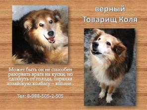 товарищ Коля для товарища Человека