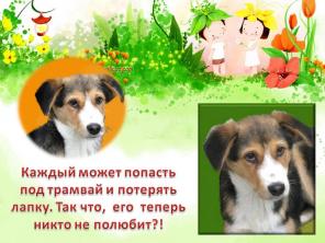 щенок Красотка ждет хозяина с улицы "Доброта"