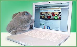Компьютерная помощь. PC&MAC, WiFi
