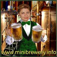 Microbrewery Techimpex - 