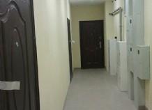 1-к кв 36 м² 7/17, ЖК Новое Домодедово, с отд