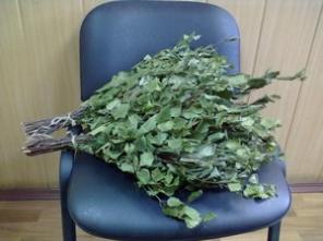 Березовые и липовые веники