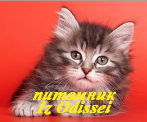 Сибирские СЕРЕБРИСТЫЕ котята