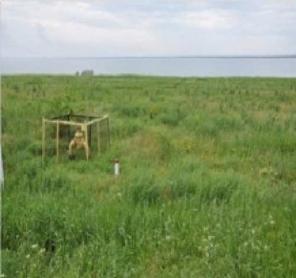 Участок 5Га около игровой зоны Золотые пески