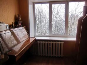 Однокомнатная квартира с видом на озеро.