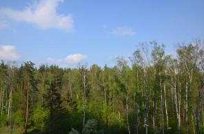 1-ая квартира мкр. Янтарный (Щитниково)