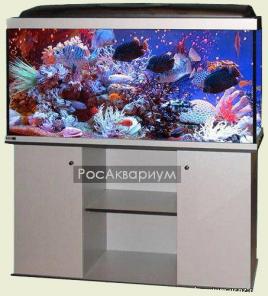 Купить аквариум в Москве