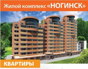 1 комнатная квартира в г Ногинск