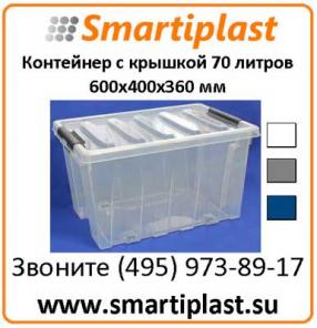 Контейнер прозрачный с крышкой 70 л 600х400х360 мм
