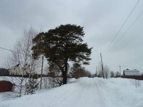 Участок 15 сот от собственника в р-не Яхромы ИЖС