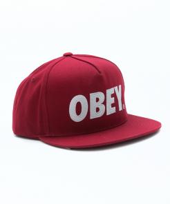 / OBEY