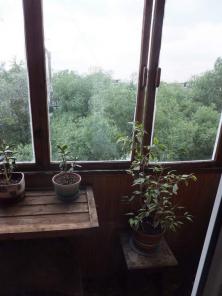 Продажа 3- х комнатной квартриры