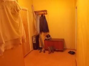 Однокомнатная квартира на первом этаже панельного дома в Данкове Липецкой области