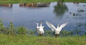 Продаю участок!