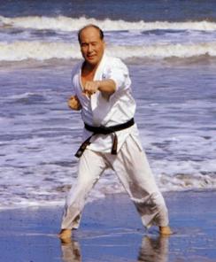 Karate Kyokushinkai   