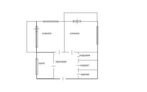 Продаю двухкомнатную по цене однокомнатной центр!