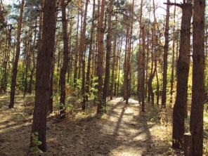 Продам 1-комн. квартиру, Люберецкий р-н, г.п. Октябрьский, Новорязанское ш., 10 км от МКАД