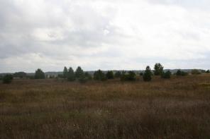 Продаю луга с/х назначения в заповедных местах