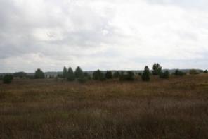 Продаю заповедные луга в Рязанской области