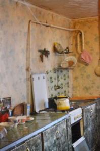 Кирпичный дом с яблоневым садом в г. Данков Липецкой области