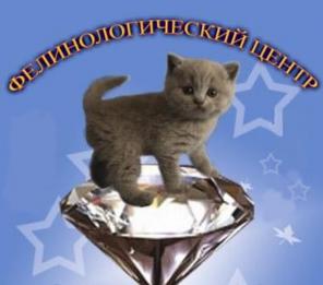 фелинологические курсы