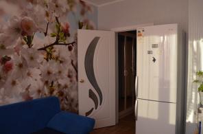 Однокомнатная в п. Солнечный ( ул. Блинова)