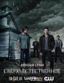   / Supernatural (9 )  DVD 