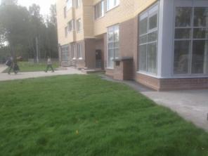1-     
