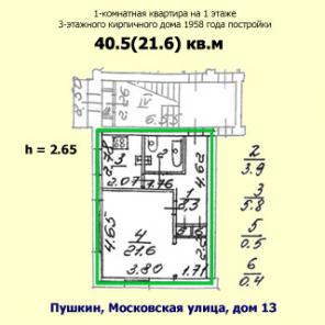 Однокомнатная квартира 40 кв.м в Пушкине на Московской улице