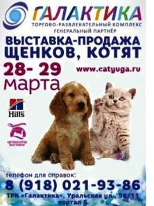 Беби-Салон продажа породистых котят и щенков