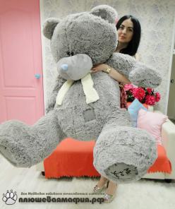     Teddy 160 