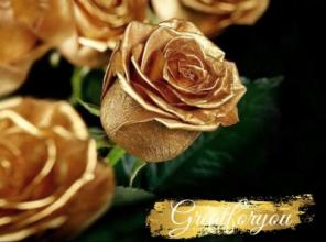  Greatforyou .